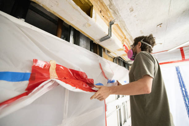 Best Basement Mold Removal  in Brownsville, PA