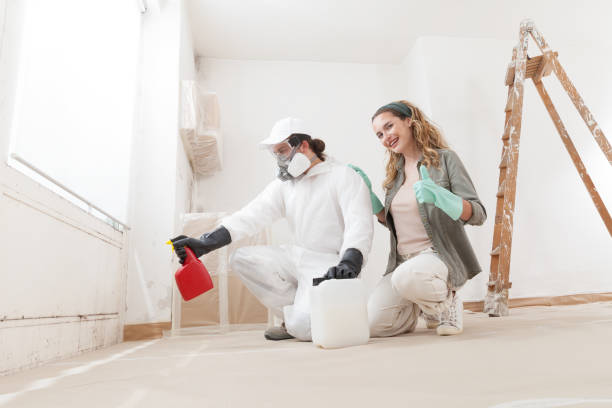 Best Residential Mold Inspection & Testing  in Brownsville, PA